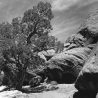 Simon Canyon, New Mexico 2014 © BASolomon